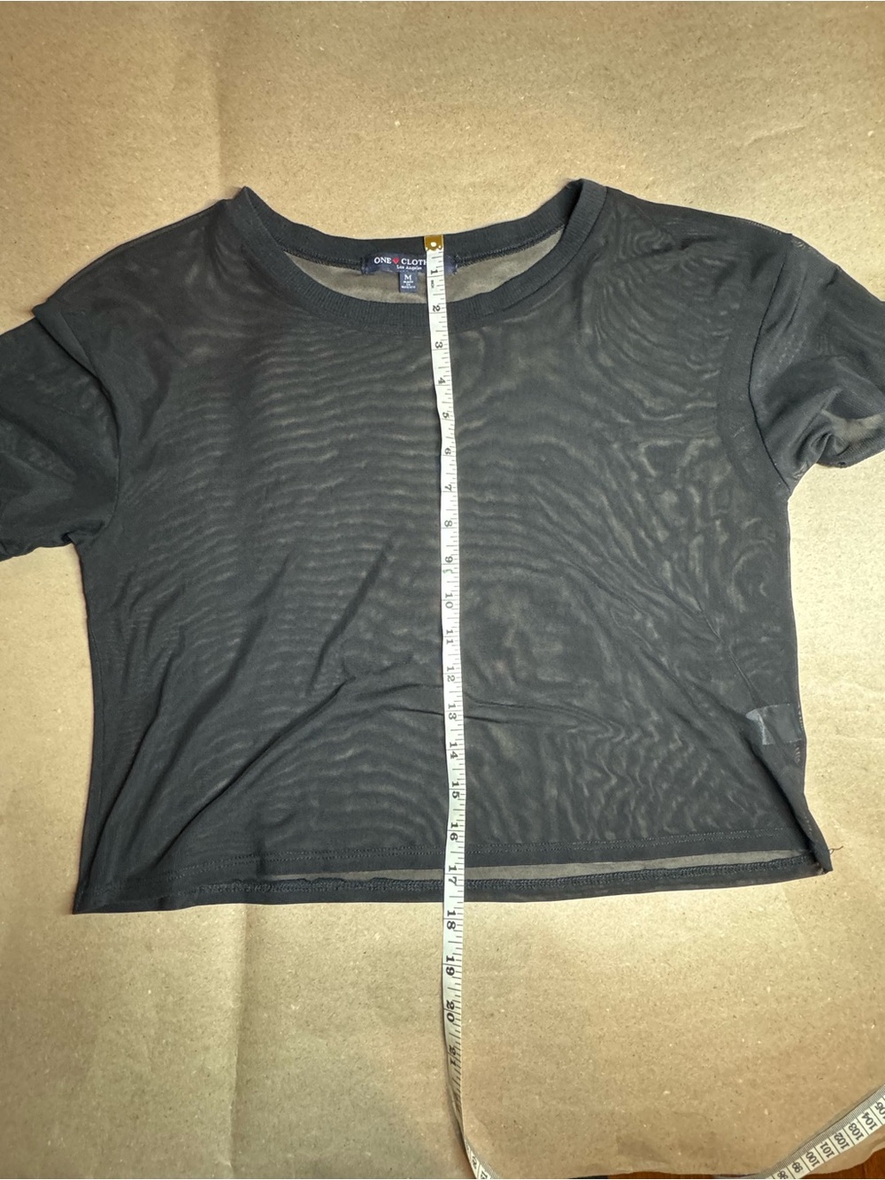 Black Short Sleeve Semi-Sheer Crop Top